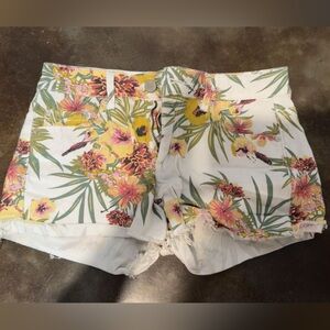 Floral Print Women's Shorts